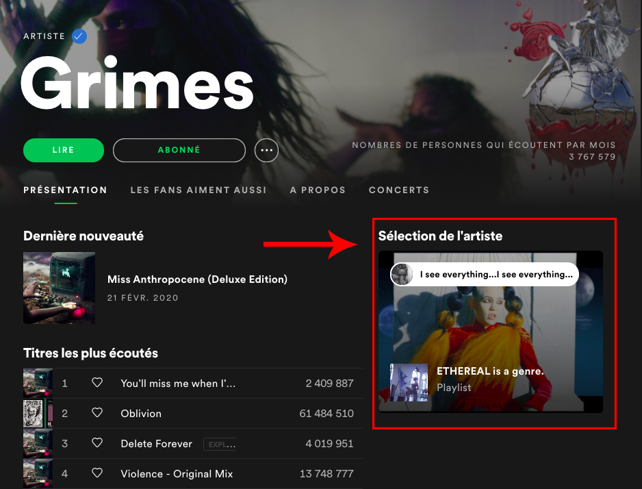 Grimes "Artist's Pick" on Spotify