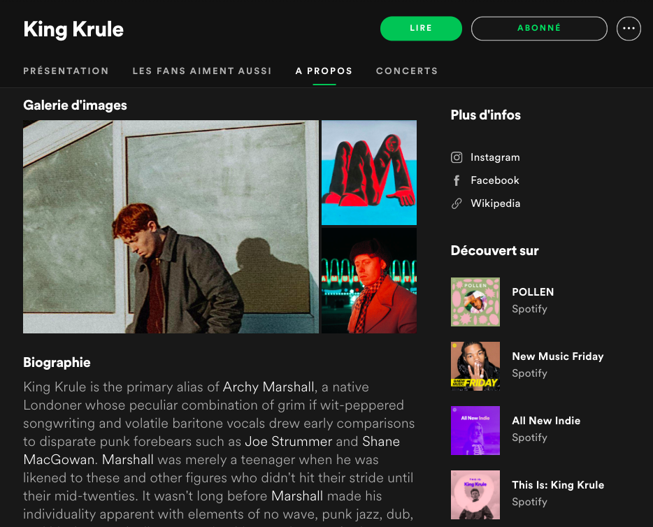 Spotify artist page of King Krule
