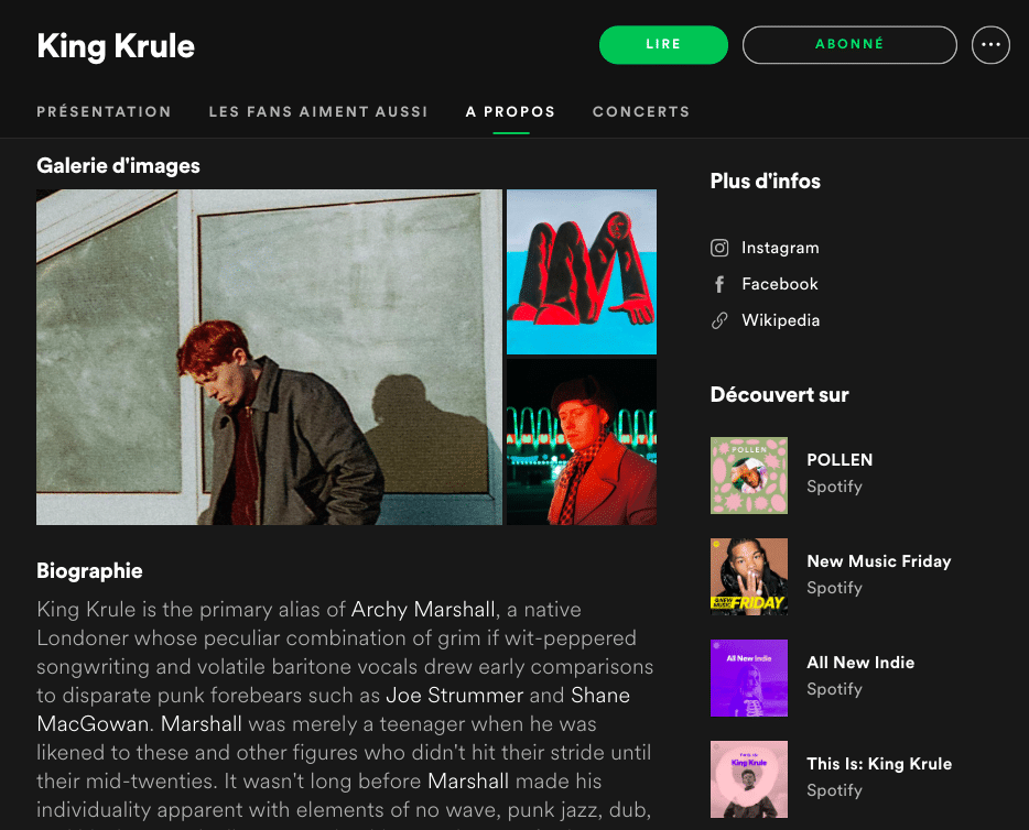 Interface page artiste Spotify, l'exemple de King Krule