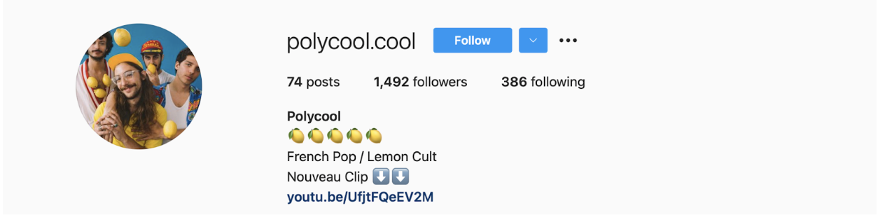 Ejemplo de una biografía de Instagram - @polycool.cool