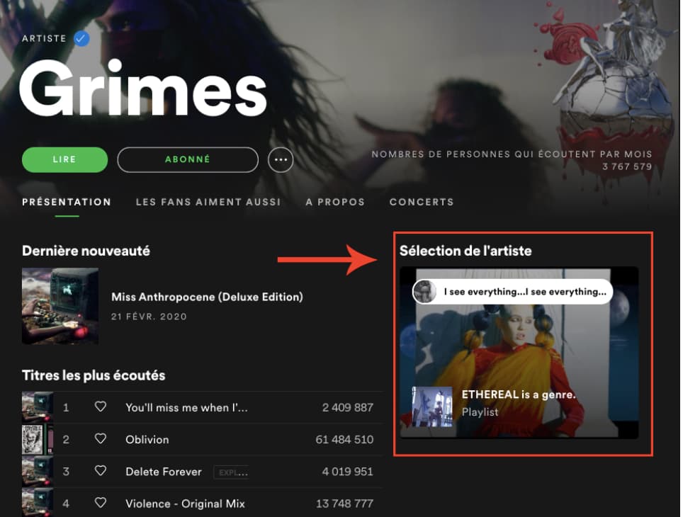 El "Artist's Pick" de Grimes en Spotify